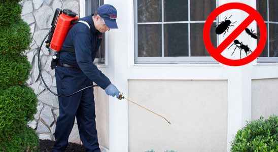Gelendost Akrep İlaçlama böcek ilaçlama ve haşere kontrolü — ilaclama-tr.com